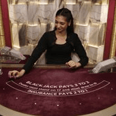 Blackjack VIP 15 screenshot